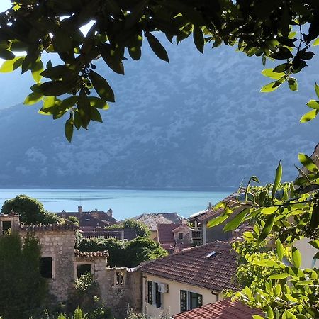 Apartments Montenegro Risan Cuckovic Zewnętrze zdjęcie